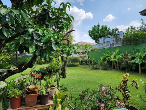 ภาพสถานทีศูนย์ดูแลผู้สูงอายุ 12